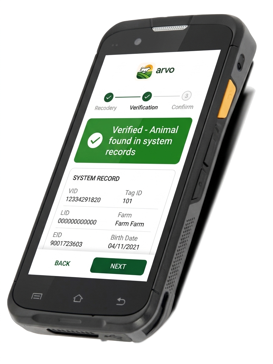 Rugged Android device showing the Arvo Animal Verification screen with a green Verified banner
